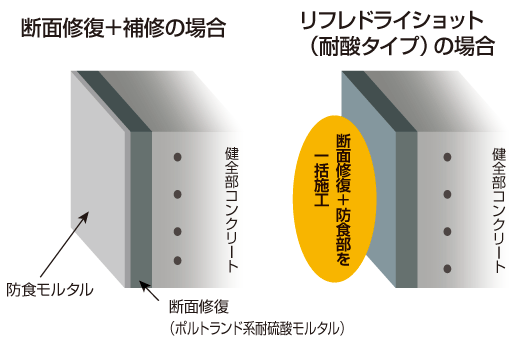 新藤試験体